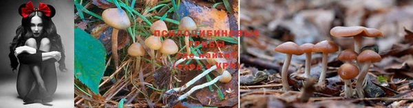 прущий лед Баксан
