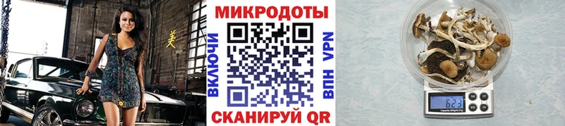 Псилоцибиновые грибы ЛСД Давлеканово