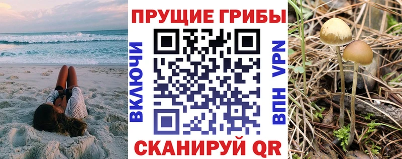 Псилоцибиновые грибы MAGIC MUSHROOMS  Давлеканово 